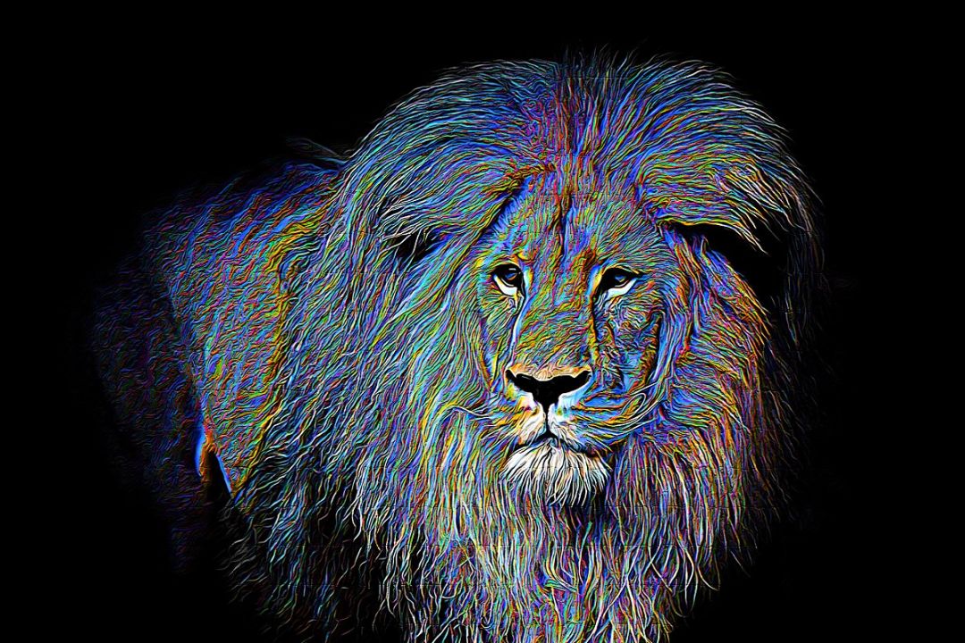 1586175317-6d78f9db486973a