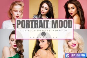 人像大片预设22 Portrait Mood Lightroom预设