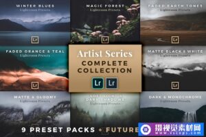 风景自然哑光黑白魔法森林Lightroom预设-套装