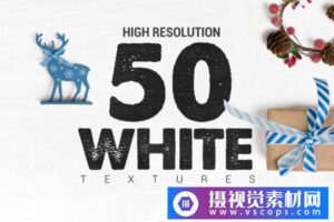 50款抽象灰白斑点纹理背景素材v.3 Bundle White Textures Vol3 x50