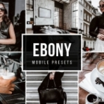 低饱和情绪人像电影色调手机移动版LR滤镜lightroom Presets EBONY