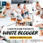 清新明亮通透人像LR预设/手机APP滤镜 White Blogger Lightroom Presets