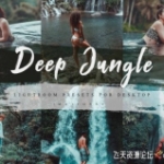 旅拍森系电影色调人像LR预设/ACR预设Deep Jungle Lightroom Presets