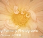 凯瑟琳·克莱蒙斯(Kathleen Clemons)创作印象派绘画照片-中文字幕