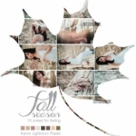 清新淡雅风Lightroom预设 Kamin - Fall Season Lightroom Presets
