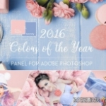 Panel Colors of the Year 2016 调色扩展面板中文版(支持CC2019)