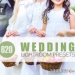620组专业婚礼婚纱Lightroom预设 Wedding Lightroom Presets Vol 2