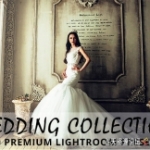 50高级婚礼Lightroom预设 50 Premium Wedding Lightroom Presets