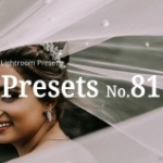 10款经典婚礼胶片Lightroom预设10 Wedding Lightroom Presets