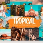 Tropical Paradise Lightroom预设手机预设