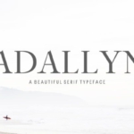 明快现代感较细英文衬线字体系列包 Adallyn Serif Font Family Pack