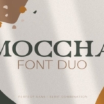 现代无衬线字体＆经典衬线字体组合 Moccha Font Duo