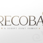现代华丽艺术项目适用英文衬线字体 Recoba Font Family