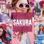 明亮通透樱花粉彩人像Lightroom预设/移动APP滤镜  Lightroom Presets SAKURA