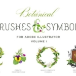 创意植物画笔笔刷 Botanical Brushes & Symbols