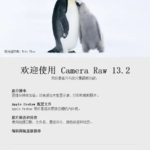 Adobe Camera Raw 13.2.0.738 WIN+MAC 2021完整版安装程序