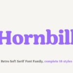 70年代复古风格英文衬线字体家族 Hornbill