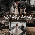 夏季旅行博客移动预设Lightroom 预设ACR预设 TikTokers Color Neo Inky Moody