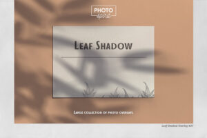 植物叶子阴影照片叠层素材 (jpg)