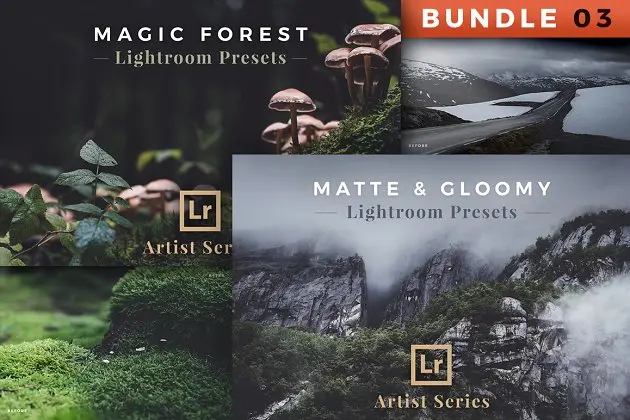 艺术风景照片LR预设 Artist Series – Lightroom Bundle 03