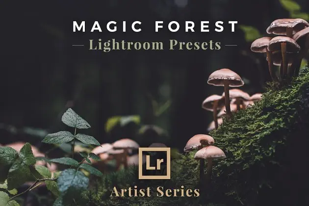 Lightroom预设魔幻效果的LR预设文件 Magic Forest, Lightroom Presets