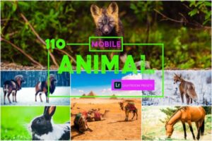 110款动物照片调色滤镜LR手机预设下载