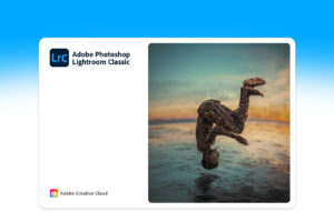 Adobe Photoshop Lightroom Classic 2022 v11.0.1 完整版预激活免费下载