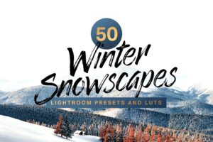 50个冬季Snowscape Lightroom预设和LUT