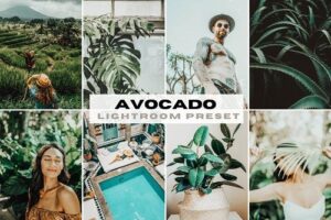 旅拍Lightoom预设 Avocado – Greenish Foliage Mobile Lightroom preset