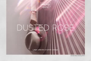 40 个粉状玫瑰叠加层透明玫瑰叠加层PS动作素材