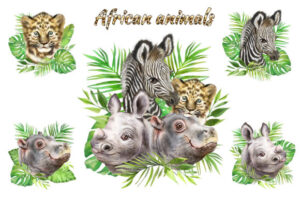 水彩剪贴画非洲动物套装PNG素材
