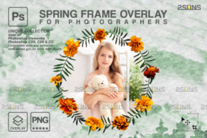 春花数码相框叠加Spring Flower Digital Frames Overlay
