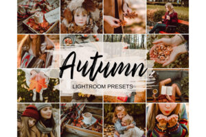 秋天舒适温暖棕色Lightroom预设手机版lr滤镜下载Autumn