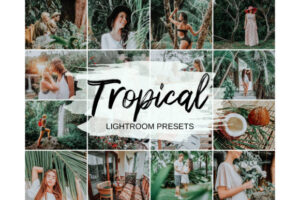 穆迪夏天旅行Lightroom 预设Ins博主海滩滤镜手机版lr预设Tropical