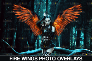 Photoshop 叠加照片天使之翼覆盖天使的翅膀 PNG仙女翅膀Fire Wings Overlay
