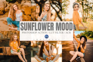 Sunflower Mood Photoshop Actions, LUT