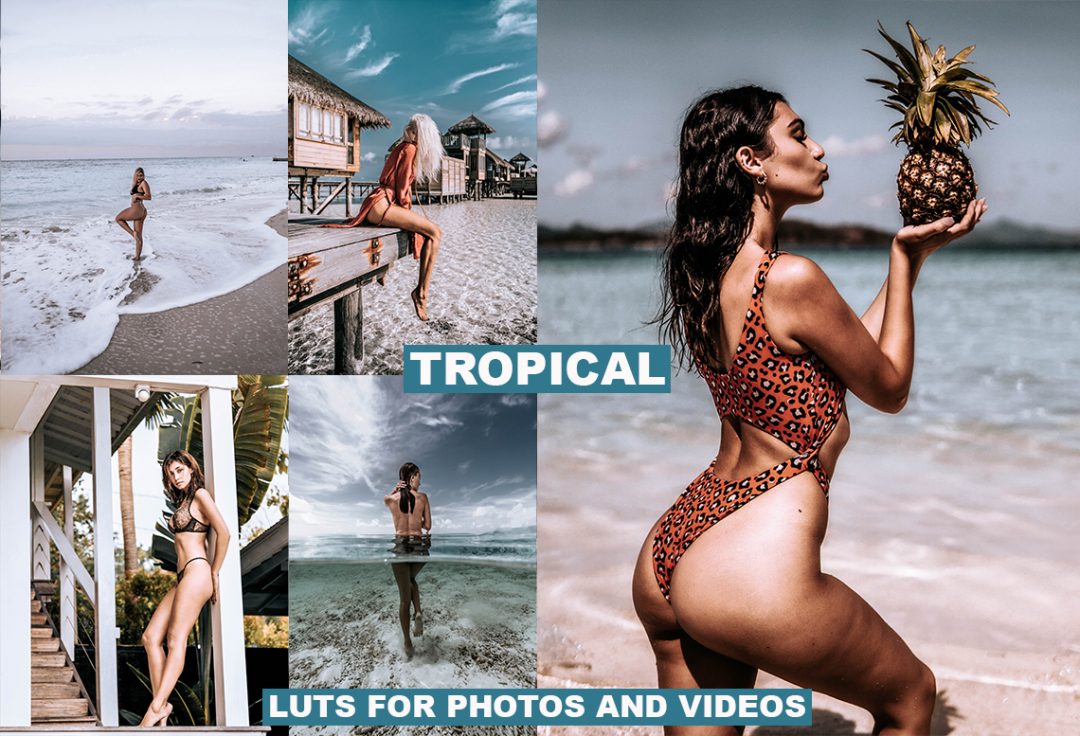 巧克力色调Photoshop Luts 预设 夏季明亮Luts 旅行视频预设