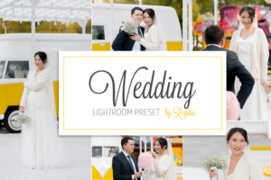婚礼灯室预设 Lightroom Presets  手机版app预设