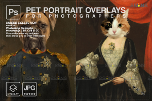 Photoshop模板 皇家宠物肖像模板 Vol.20