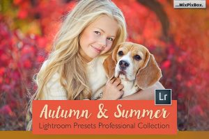 户外摄影秋冬Lightroom系列Autumn and Summer Lightroom Collection