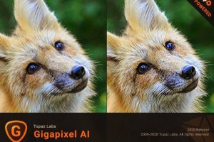 Topaz Gigapixel AI 6.1.0 (x64)无损照片放大处理软件下载