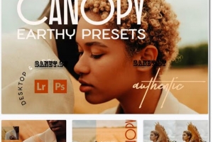 Canopy 预设系列具有 12 个泥土色调预设 Lightroom 预设 适用于肖像、美术和时尚编辑摄影