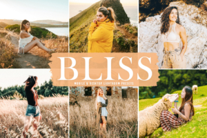 人像预设Bliss Pro Lightroom 预设