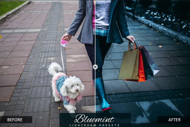 7500 个预设 Photoshop 动作和电影 LUT The Mammoth Collection插图6
