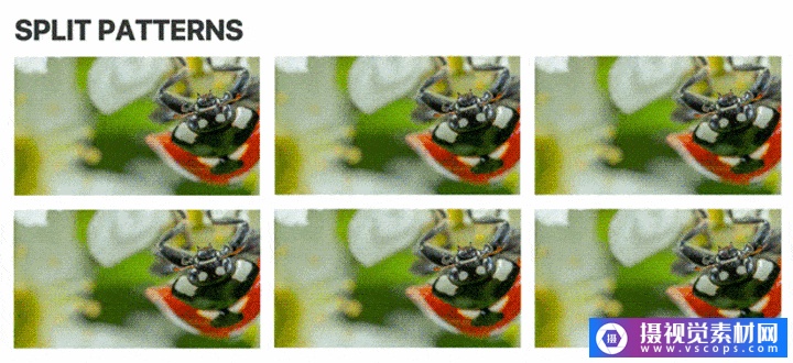 1657033129-d097a9df43a6658 1657033129-d097a9df43a6658