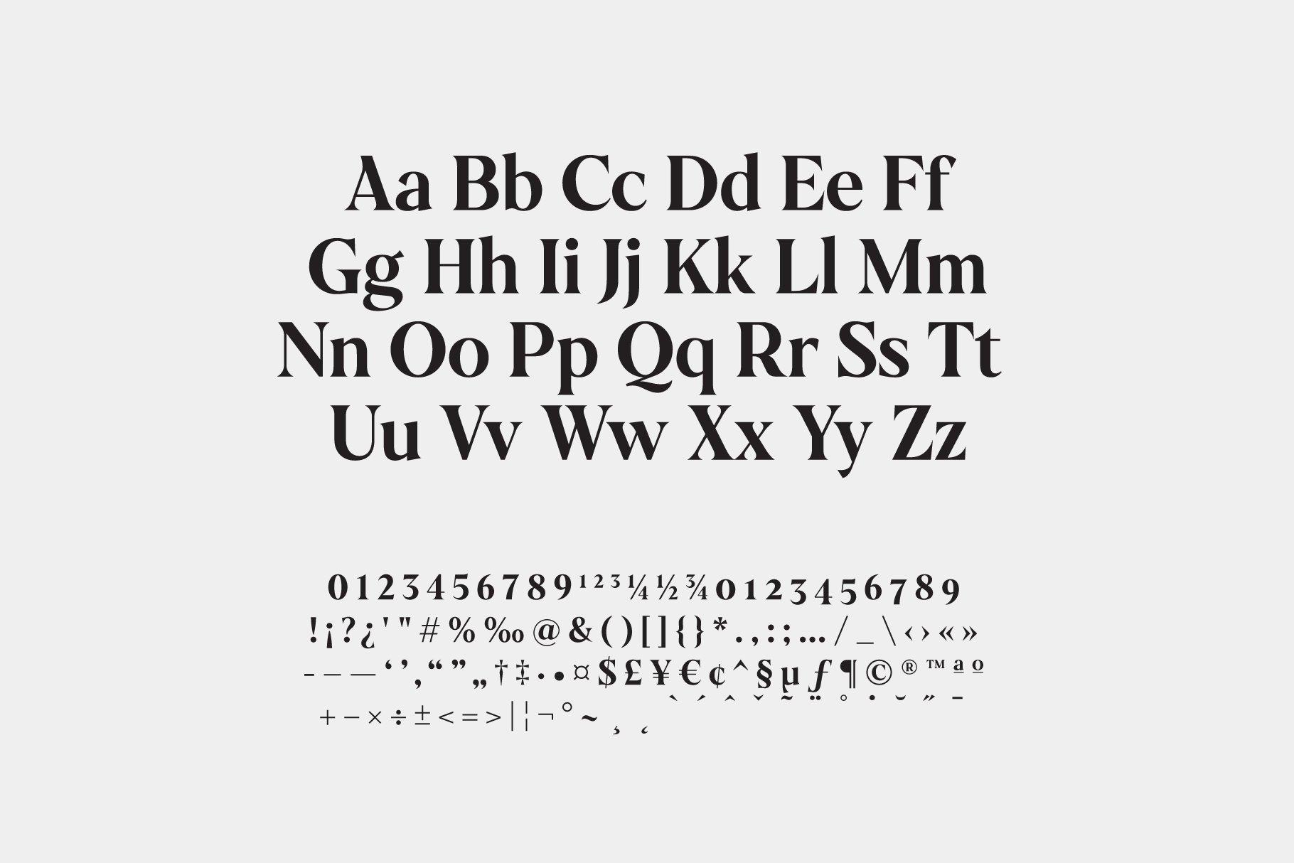 优雅的加洛尼亚字体衬线连字字体 Galonia Type插图1