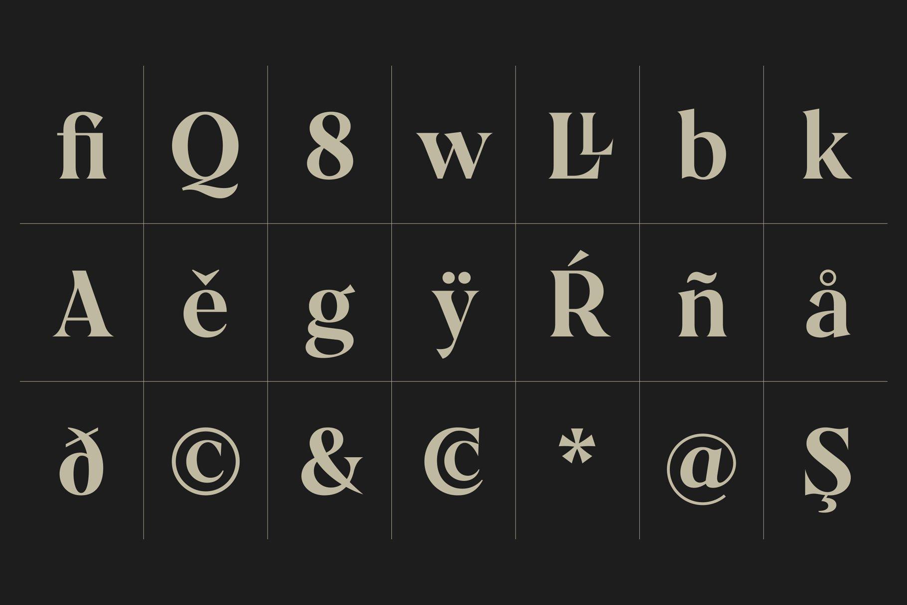 优雅的加洛尼亚字体衬线连字字体 Galonia Type插图7