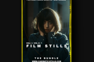Cinematic-Stills 电影套装Lightroom预设 胶片预设 THE FILM BUNDLE
