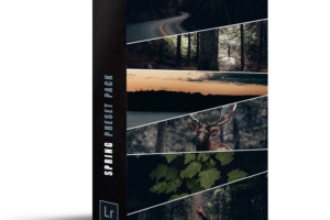alenpalander Spring Pack - 12 个高级预设Lightroom 预设
