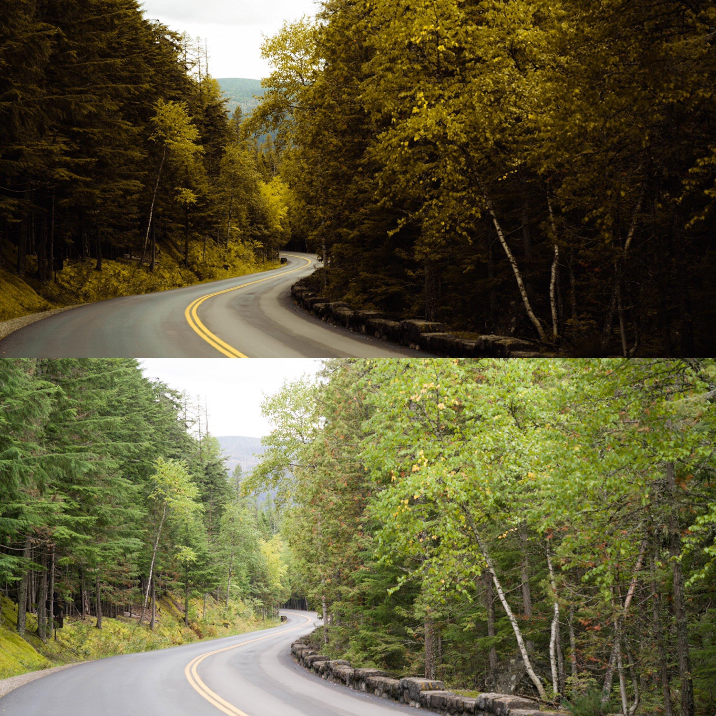 alenpalander Spring Pack - 12 个高级预设Lightroom 预设插图5